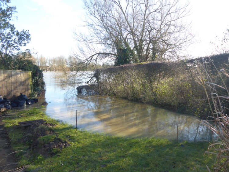 The flooded back garden of the corner house on Manorfields Road