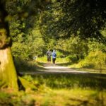 country walk